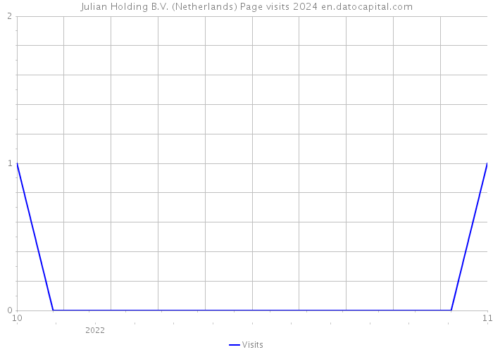 Julian Holding B.V. (Netherlands) Page visits 2024 