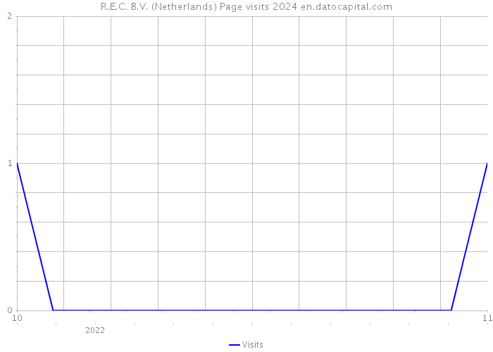 R.E.C. B.V. (Netherlands) Page visits 2024 