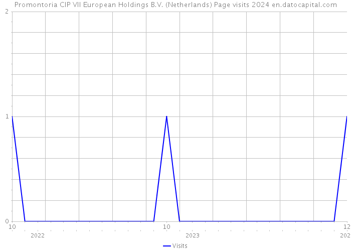 Promontoria CIP VII European Holdings B.V. (Netherlands) Page visits 2024 