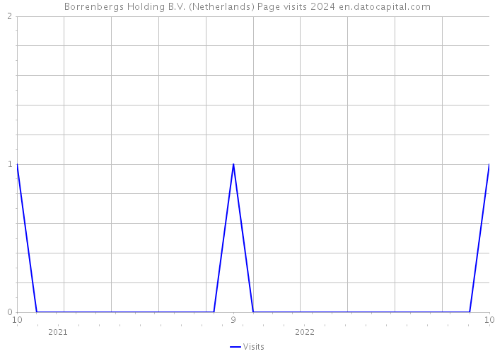 Borrenbergs Holding B.V. (Netherlands) Page visits 2024 