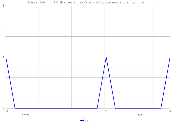 Forza Holding B.V. (Netherlands) Page visits 2024 