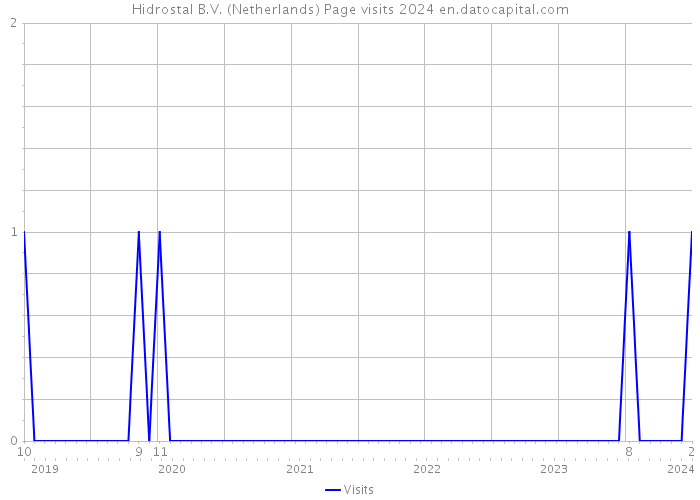 Hidrostal B.V. (Netherlands) Page visits 2024 