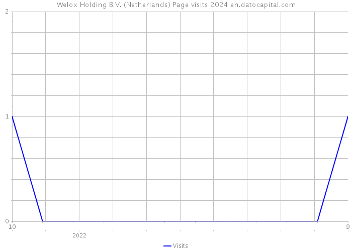 Welox Holding B.V. (Netherlands) Page visits 2024 