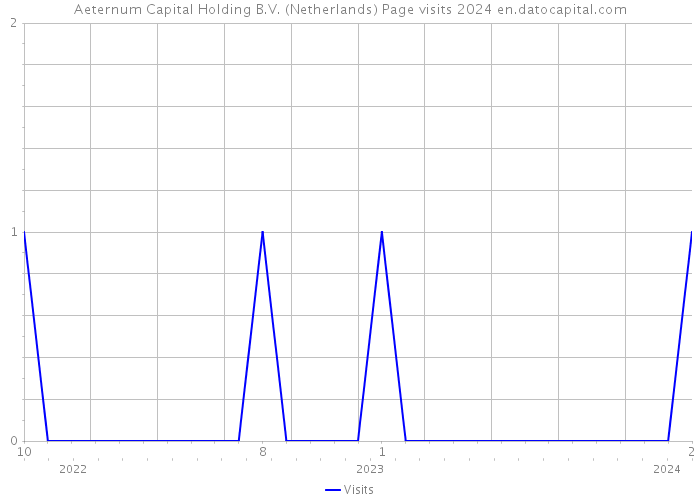 Aeternum Capital Holding B.V. (Netherlands) Page visits 2024 