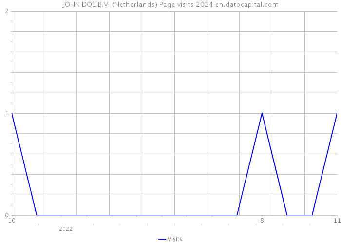 JOHN DOE B.V. (Netherlands) Page visits 2024 