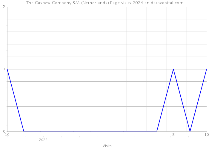 The Cashew Company B.V. (Netherlands) Page visits 2024 