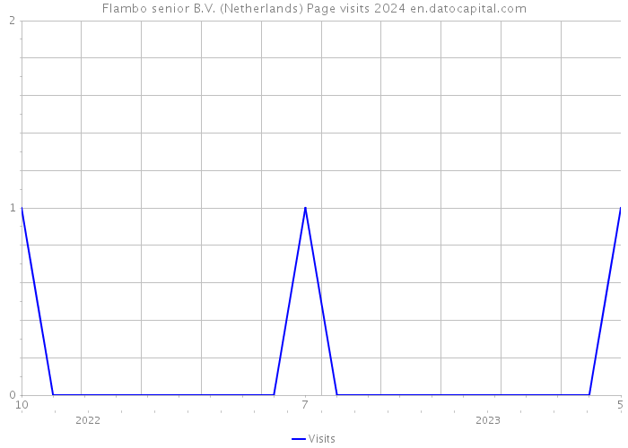 Flambo senior B.V. (Netherlands) Page visits 2024 
