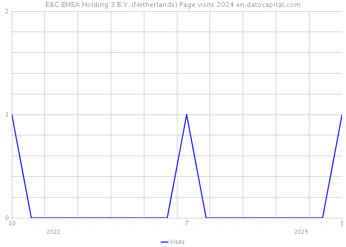 E&C EMEA Holding 3 B.V. (Netherlands) Page visits 2024 