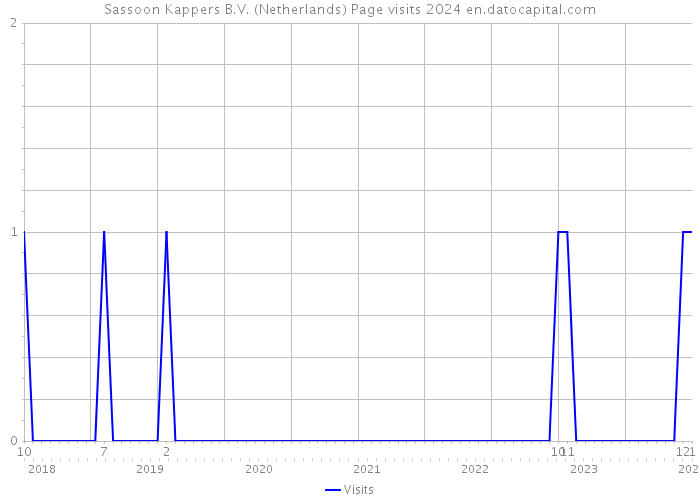 Sassoon Kappers B.V. (Netherlands) Page visits 2024 