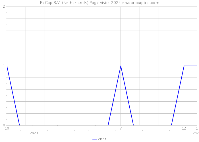 ReCap B.V. (Netherlands) Page visits 2024 