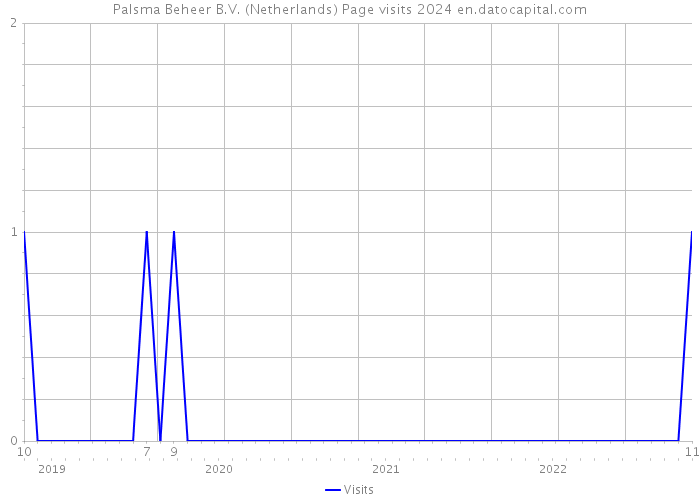 Palsma Beheer B.V. (Netherlands) Page visits 2024 