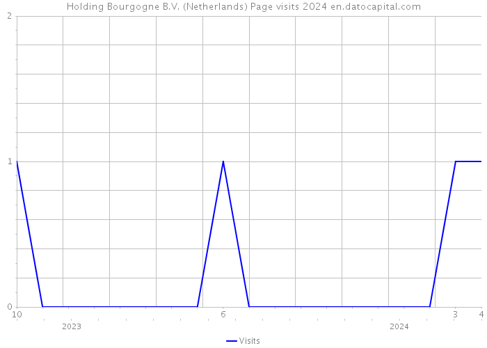 Holding Bourgogne B.V. (Netherlands) Page visits 2024 