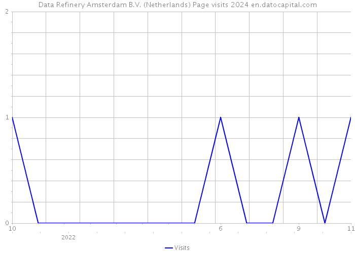 Data Refinery Amsterdam B.V. (Netherlands) Page visits 2024 