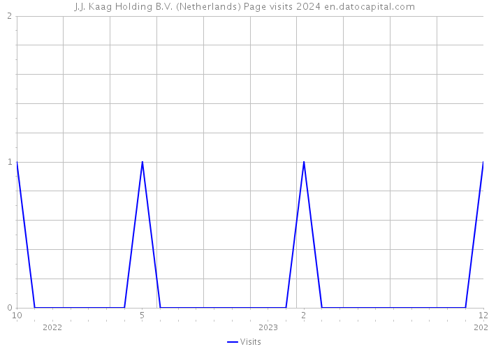 J.J. Kaag Holding B.V. (Netherlands) Page visits 2024 