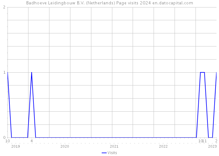 Badhoeve Leidingbouw B.V. (Netherlands) Page visits 2024 