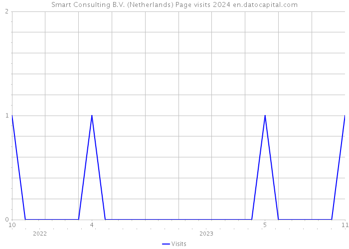 Smart Consulting B.V. (Netherlands) Page visits 2024 