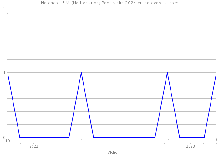 Hatchcon B.V. (Netherlands) Page visits 2024 