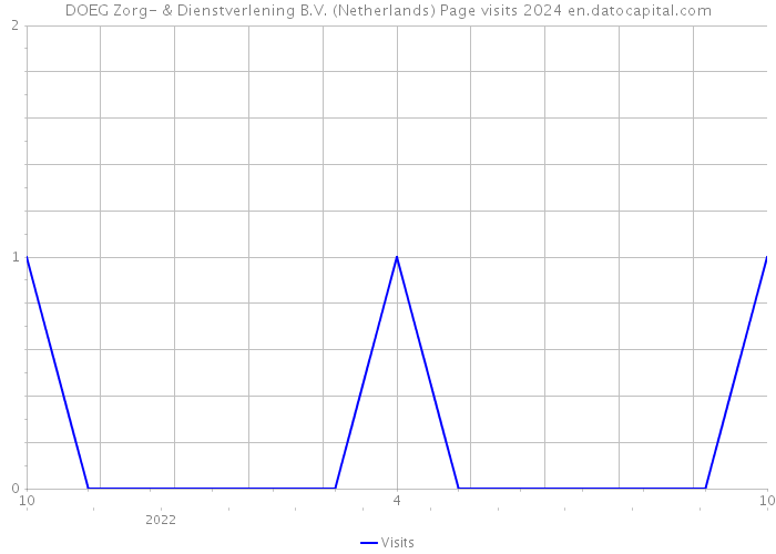 DOEG Zorg- & Dienstverlening B.V. (Netherlands) Page visits 2024 