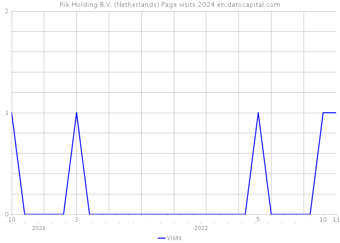 Rik Holding B.V. (Netherlands) Page visits 2024 