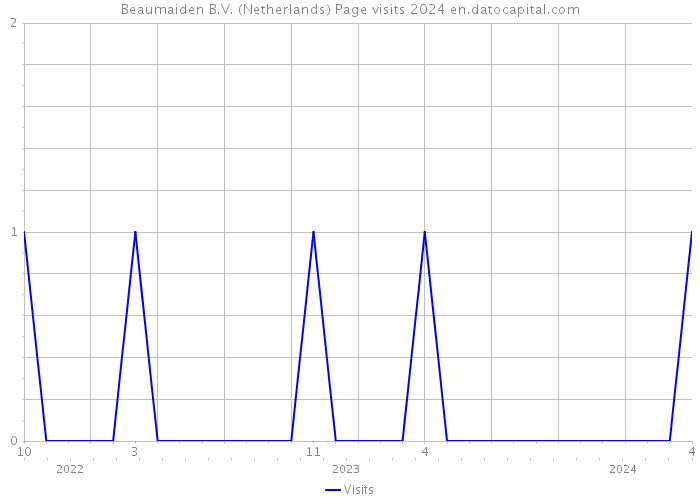 Beaumaiden B.V. (Netherlands) Page visits 2024 