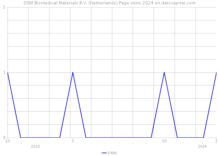 DSM Biomedical Materials B.V. (Netherlands) Page visits 2024 