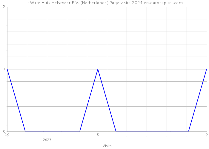 't Witte Huis Aelsmeer B.V. (Netherlands) Page visits 2024 