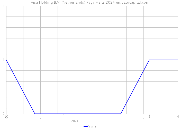 Visa Holding B.V. (Netherlands) Page visits 2024 