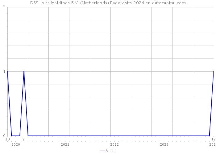 DSS Loire Holdings B.V. (Netherlands) Page visits 2024 