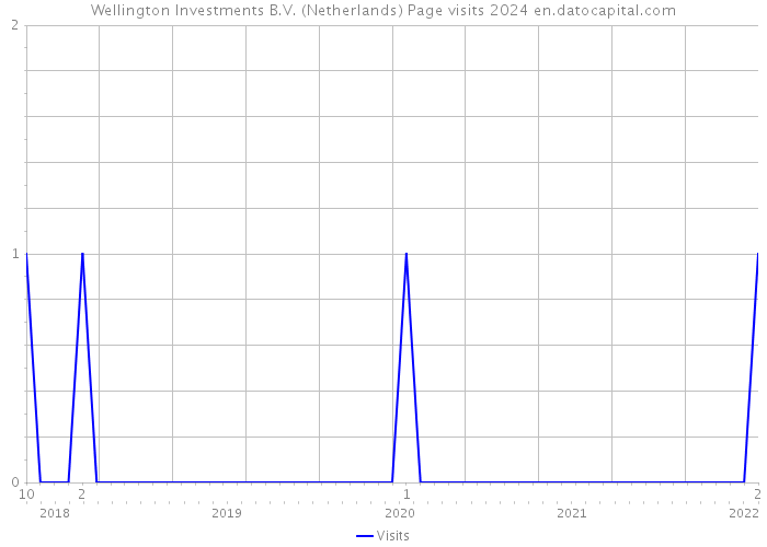 Wellington Investments B.V. (Netherlands) Page visits 2024 