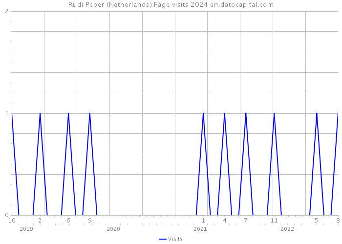 Rudi Peper (Netherlands) Page visits 2024 
