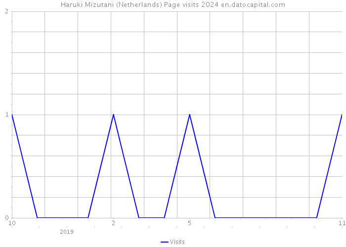 Haruki Mizutani (Netherlands) Page visits 2024 