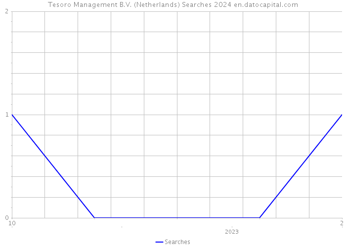 Tesoro Management B.V. (Netherlands) Searches 2024 