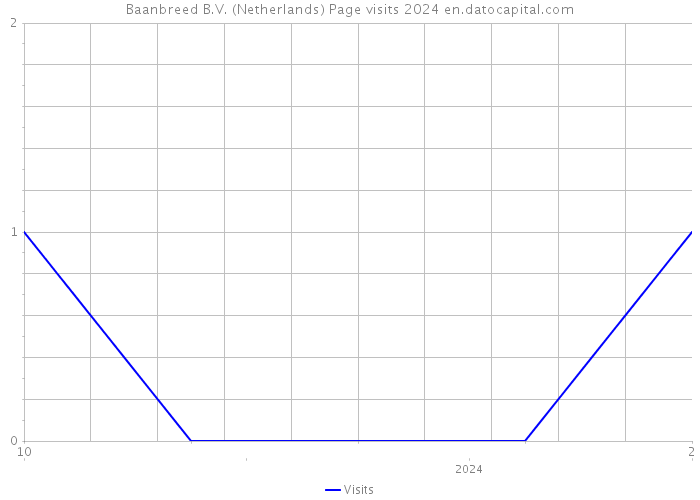 Baanbreed B.V. (Netherlands) Page visits 2024 