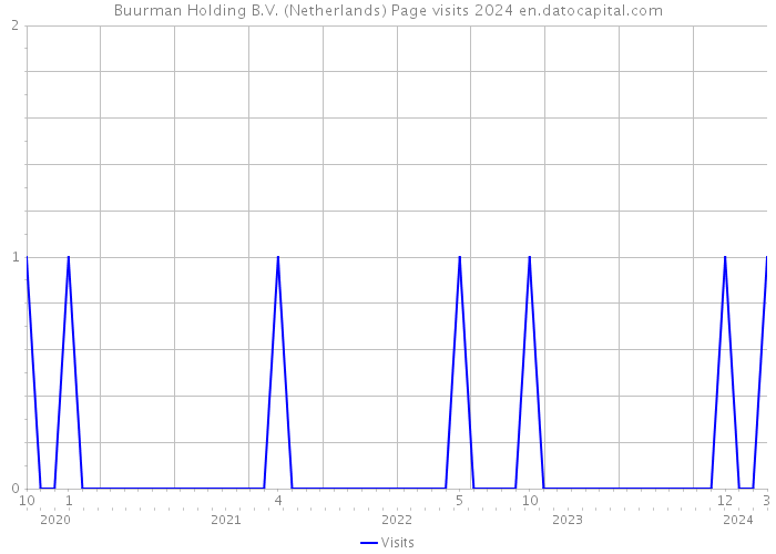 Buurman Holding B.V. (Netherlands) Page visits 2024 