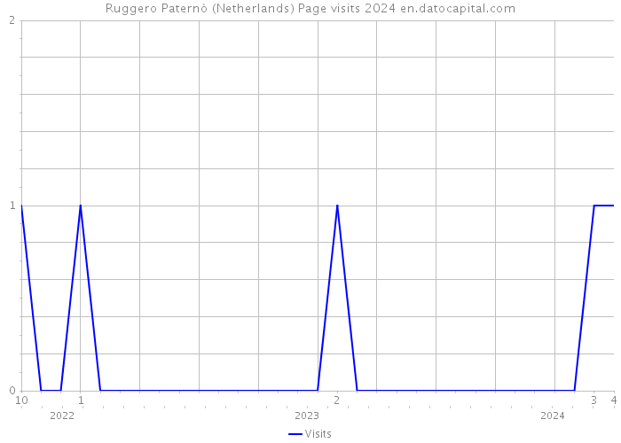 Ruggero Paternò (Netherlands) Page visits 2024 