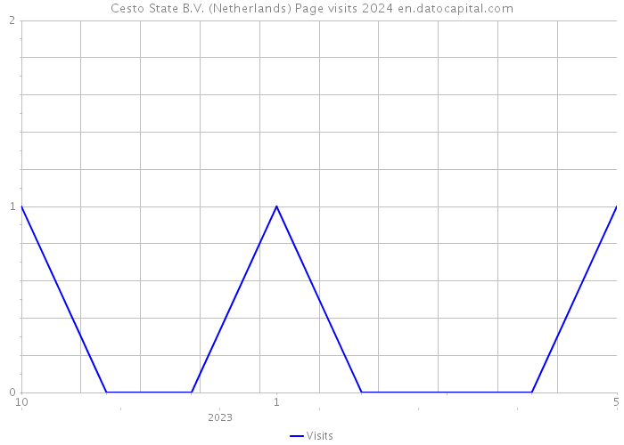 Cesto State B.V. (Netherlands) Page visits 2024 