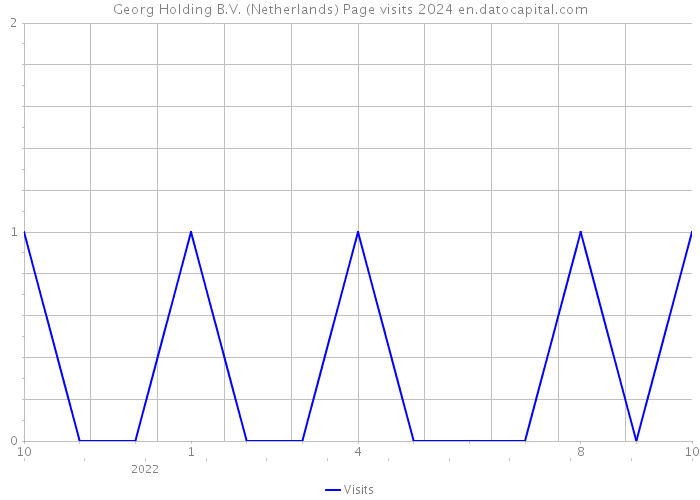 Georg Holding B.V. (Netherlands) Page visits 2024 