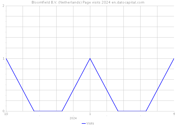 Bloomfield B.V. (Netherlands) Page visits 2024 