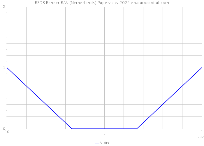 BSDB Beheer B.V. (Netherlands) Page visits 2024 