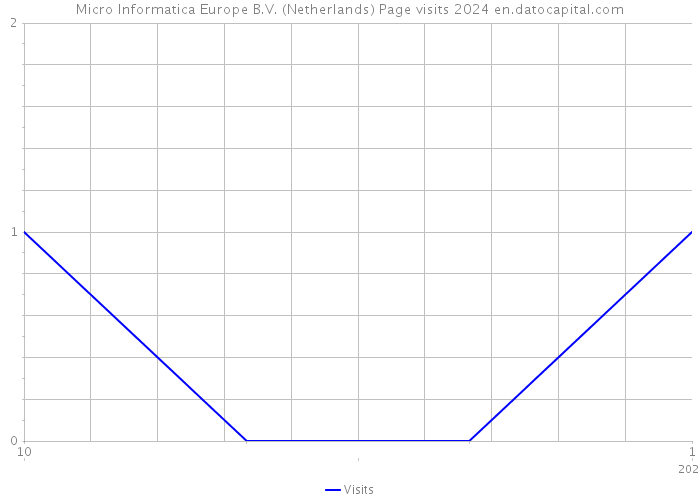 Micro Informatica Europe B.V. (Netherlands) Page visits 2024 