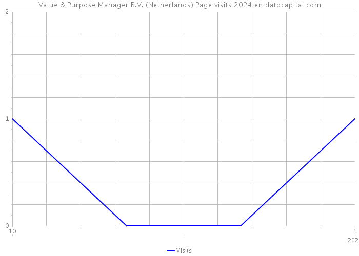 Value & Purpose Manager B.V. (Netherlands) Page visits 2024 