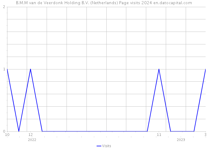 B.M.M van de Veerdonk Holding B.V. (Netherlands) Page visits 2024 
