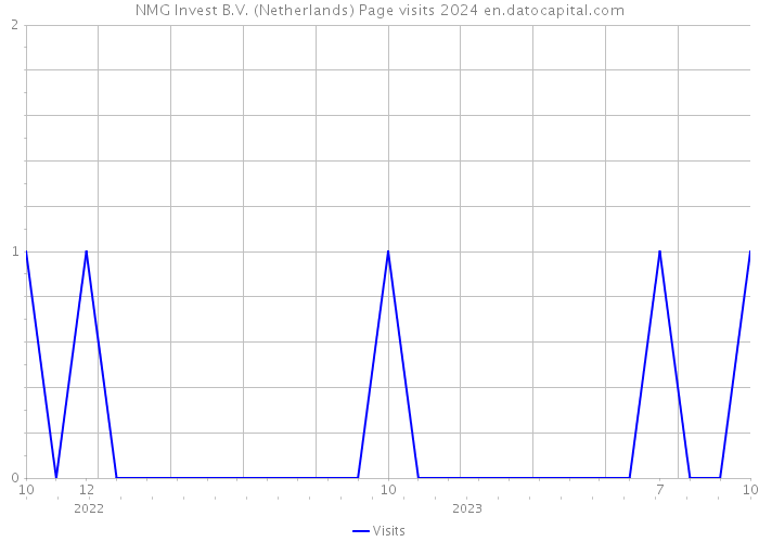 NMG Invest B.V. (Netherlands) Page visits 2024 