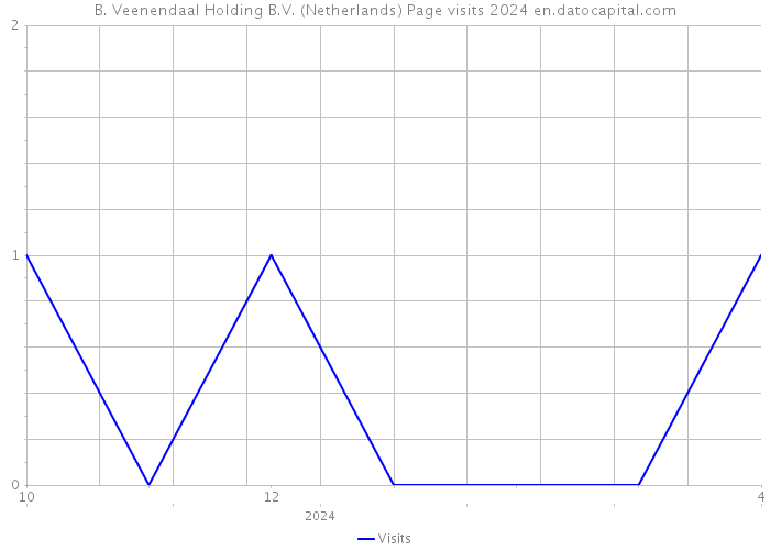 B. Veenendaal Holding B.V. (Netherlands) Page visits 2024 