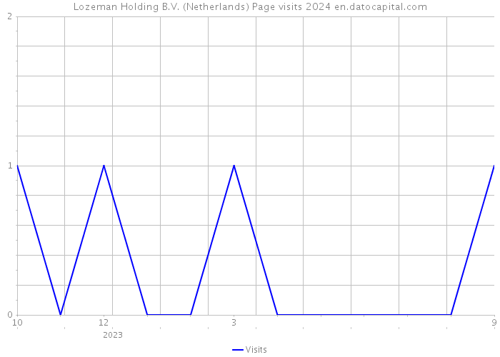Lozeman Holding B.V. (Netherlands) Page visits 2024 