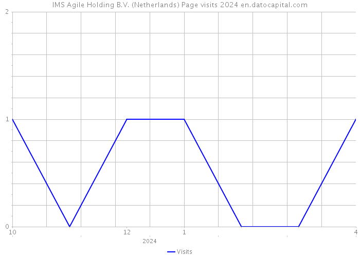 IMS Agile Holding B.V. (Netherlands) Page visits 2024 