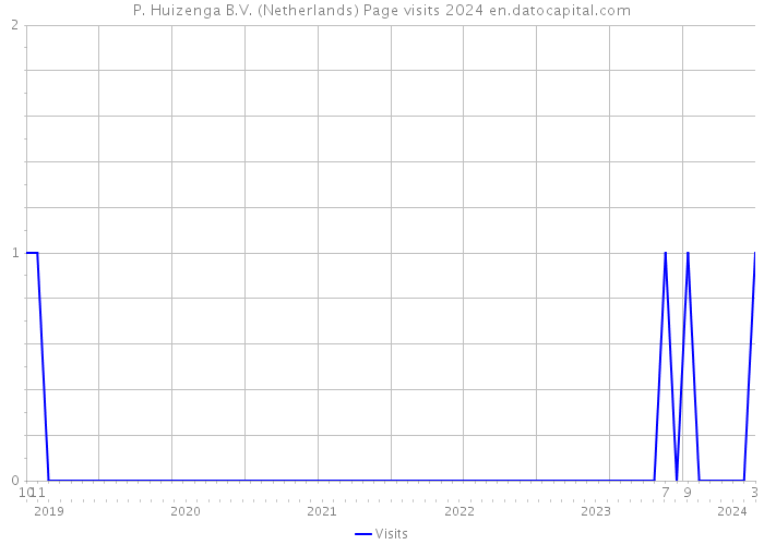 P. Huizenga B.V. (Netherlands) Page visits 2024 