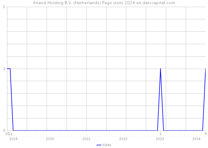 Anand Holding B.V. (Netherlands) Page visits 2024 