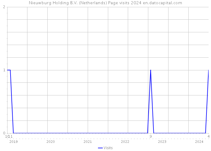 Nieuwburg Holding B.V. (Netherlands) Page visits 2024 
