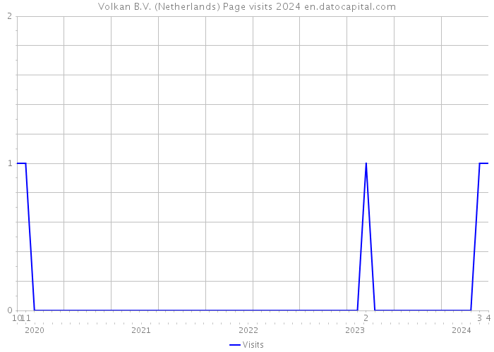 Volkan B.V. (Netherlands) Page visits 2024 